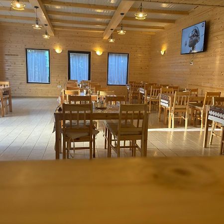 Casa Mocanitei Vişeu de Sus Zewnętrze zdjęcie
