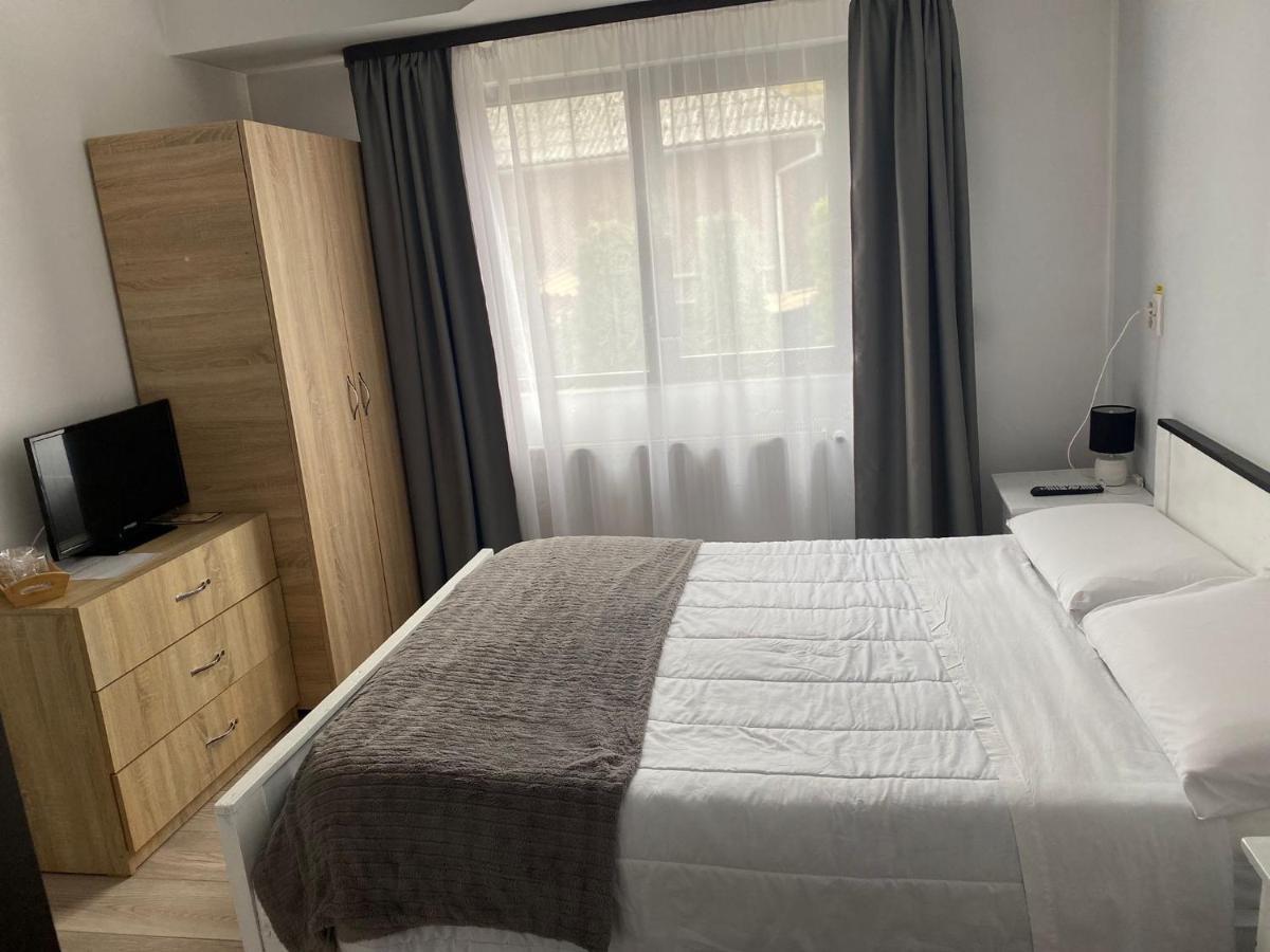 Casa Mocanitei Vişeu de Sus Zewnętrze zdjęcie