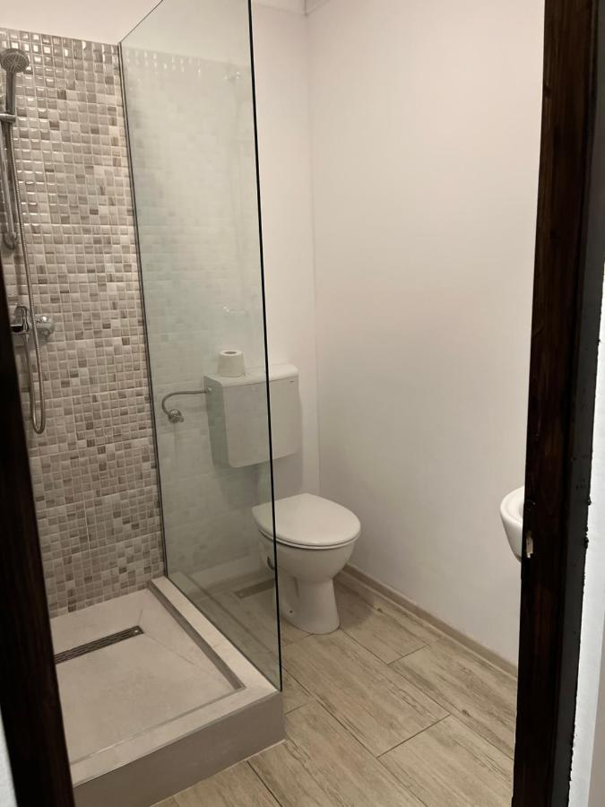 Casa Mocanitei Vişeu de Sus Zewnętrze zdjęcie