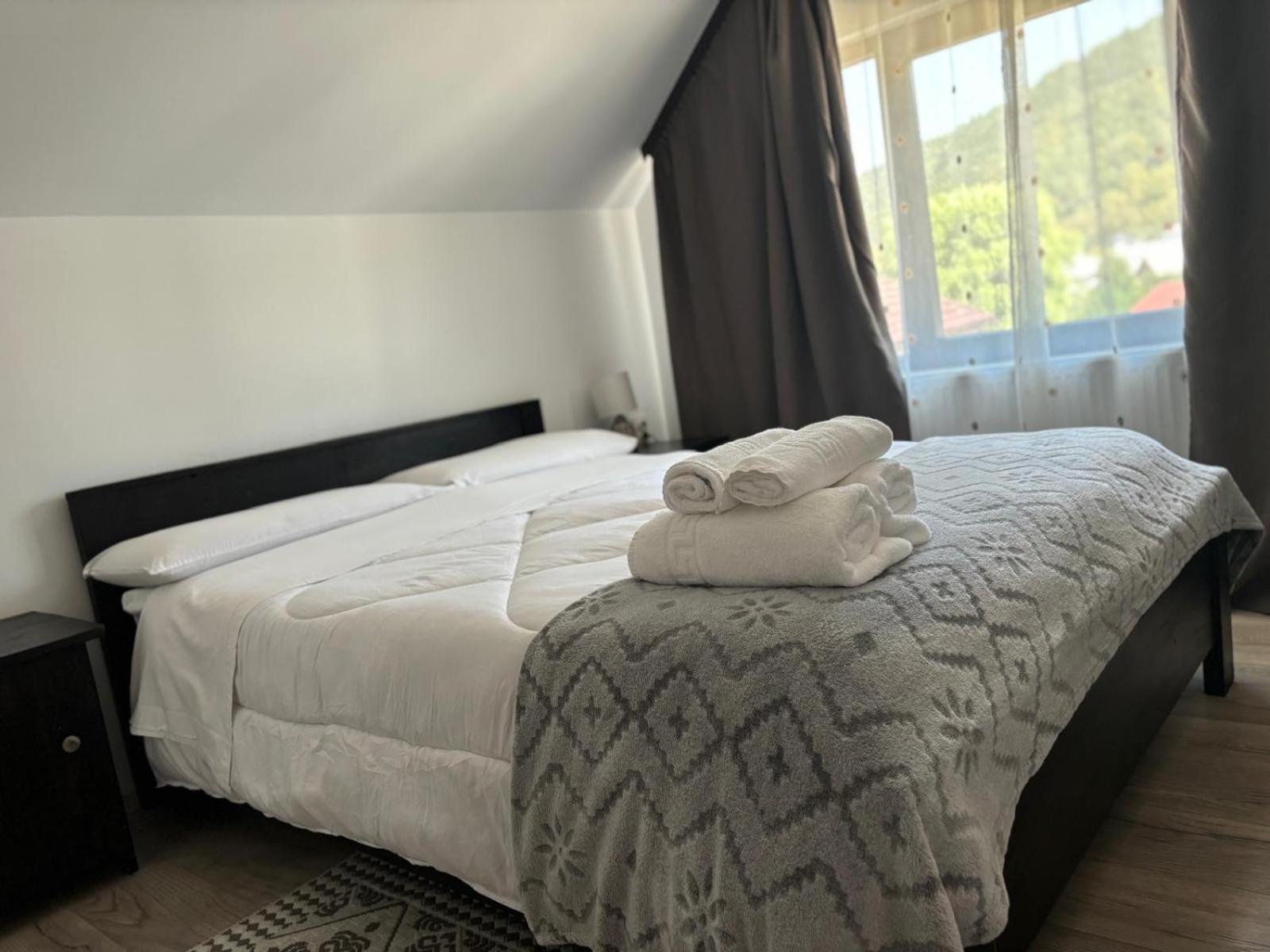 Casa Mocanitei Vişeu de Sus Zewnętrze zdjęcie